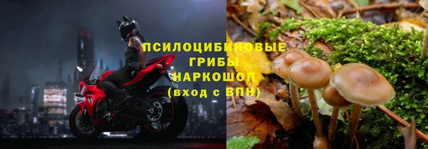 кокс Аркадак