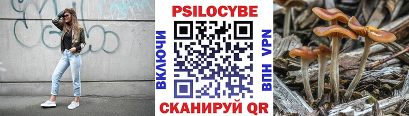 Псилоцибиновые грибы Psilocybine cubensis  гидра ссылка  Кореновск 