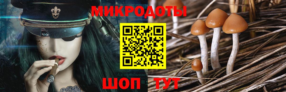 Галлюциногенные грибы Psilocybine cubensis  Галлюциногенные грибы ЛСД  Кореновск  Вход с VPN 