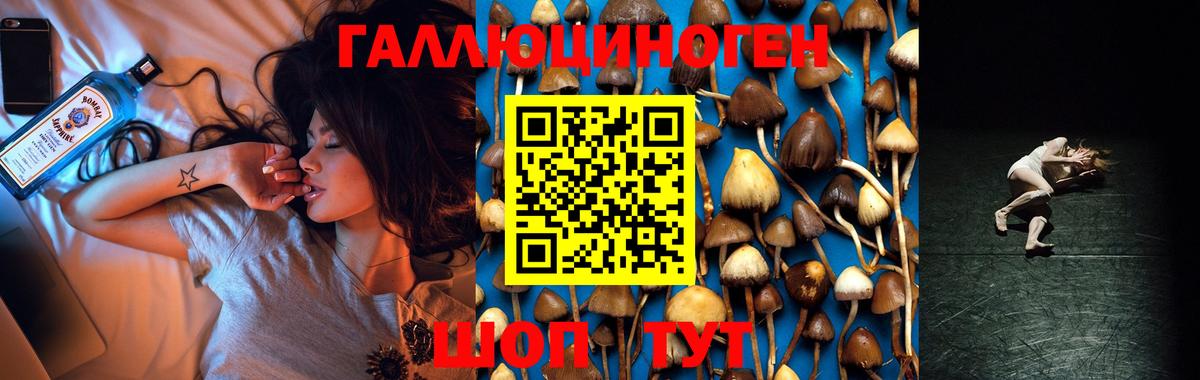 Галлюциногенные грибы ЛСД Кореновск
